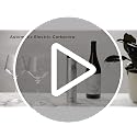 Rabbit Electric Corkscrew with Foil Cutter 2x9.6 Inch Silver Hands-Free Wine Opener