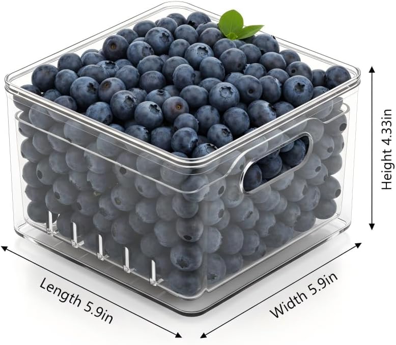 Skiennix Transparent PET Fruit Draining Colander - Versatile Food Storage Box | 2 Square Containers