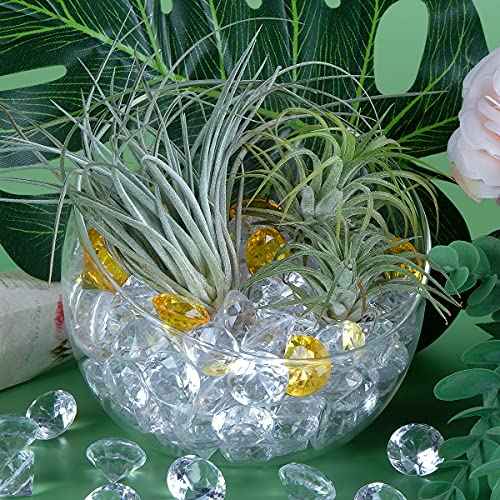 Babenest Acrylic Diamond Fake Gems Vase Filler, 240pcs 3/4 Inch Faux Diamonds Crystals Jewels for Table Scatters Wedding Party Event Arts & Crafts Birthday Decoration Favor (Clear)