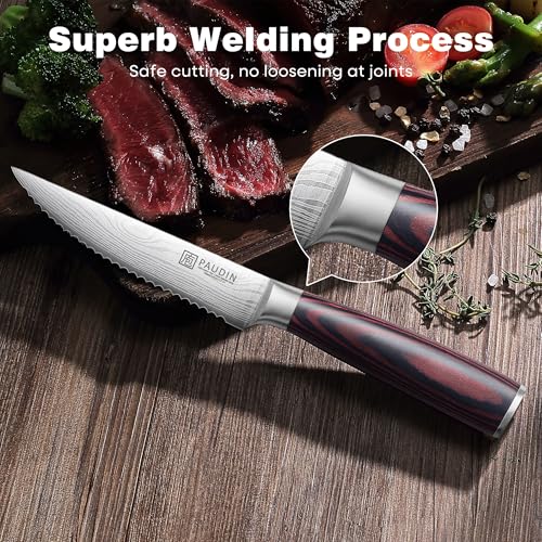 PAUDIN 4.5-Inch Steak Knives Set of 6 | Serrated High Carbon Stainless Steel