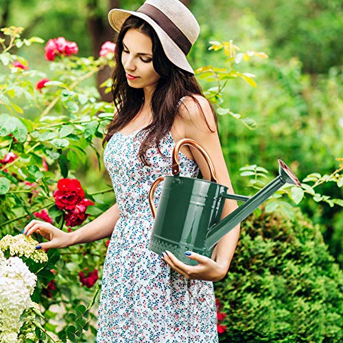 Green 1 Gallon Metal Watering Can with Removable Spout - Galvanized Steel Garden Hand Tool