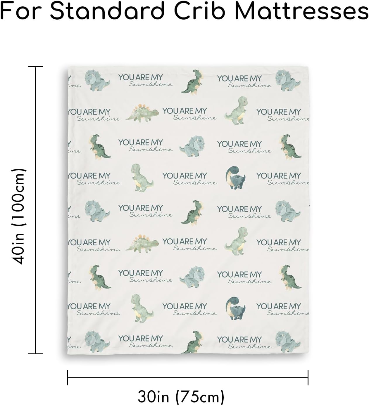 Skiennix Dinosaur Baby Blanket - Super Soft Minky Nursery Throw with Double Layer Dotted Backing | Blue (30" x 40")