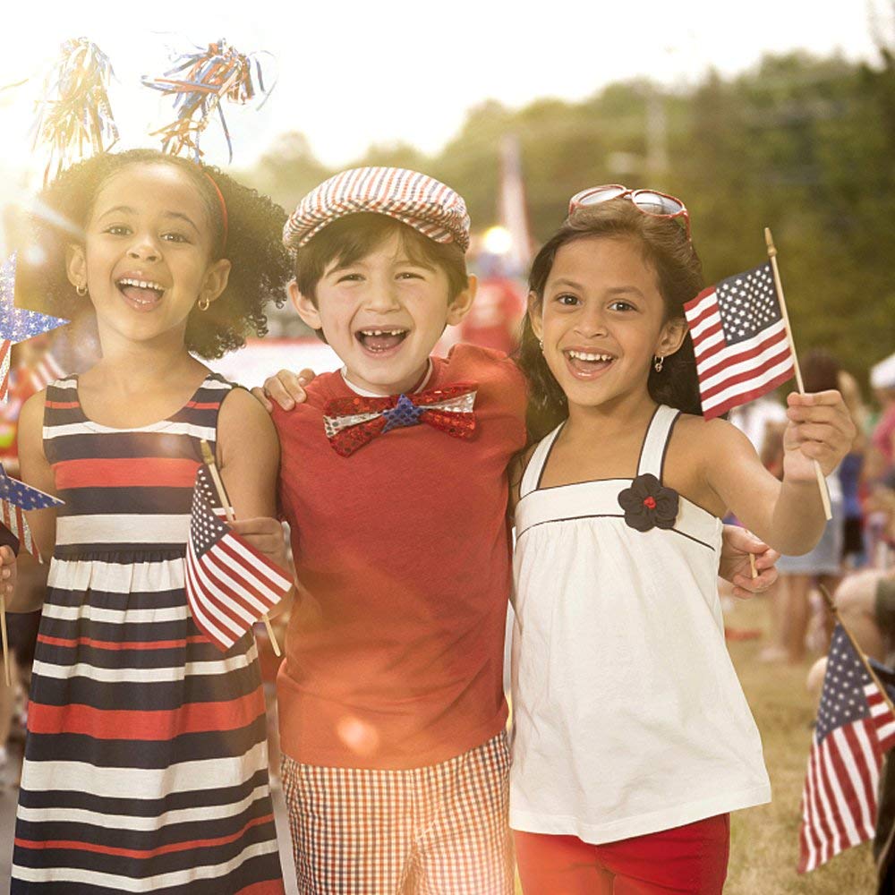 Small American Flags on Stick,65 American Flags Hand Held Mini US Flags for American Independence Day,Memorial Day President's Day,Veterans Day (4x6 Inches)