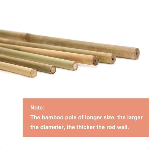 COLOtime Bamboo Stakes - 4FT Garden Support Poles for Climbing Plants | 25 Pack for Tomatoes & Beans