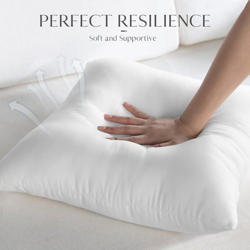Ashler Outdoor Pillows - Waterproof Hypoallergenic Throw Pillow Inserts | Set of 4, 18 x 18 Inches