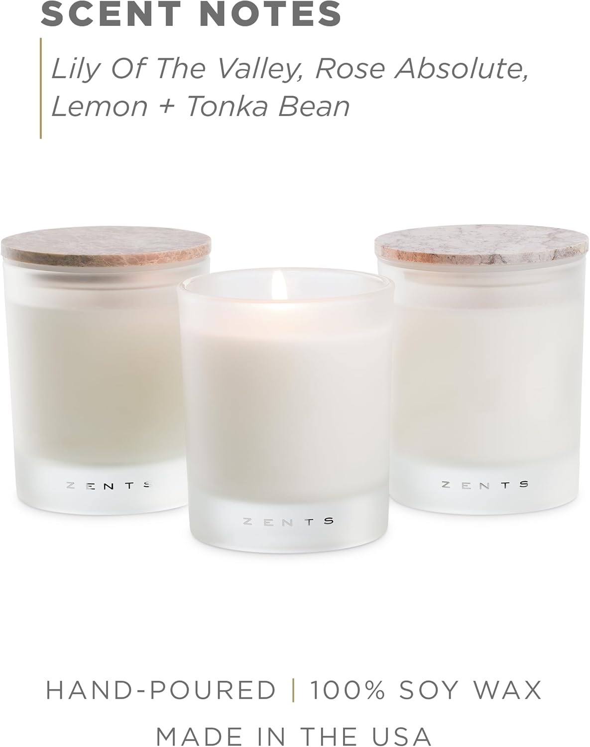 Zents Scented Soy Wax Candle (Earth - Sandalwood & Fir Needle), Large Jar Single Wick, Uplifting Home Decor Accent, 8.5 oz