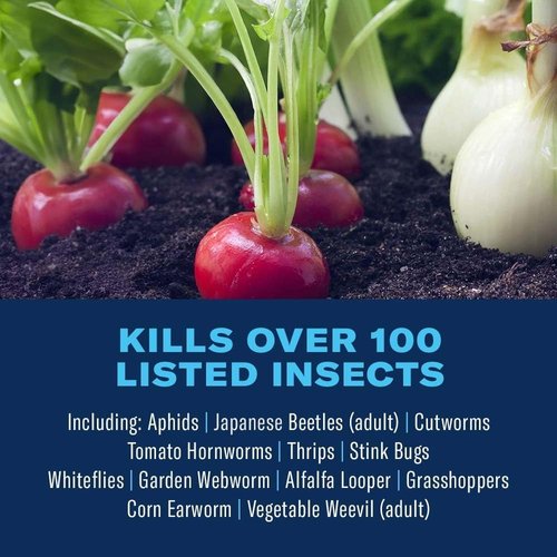 Bayer Advanced Bug Killer Concentrate - Effective Vegetable Garden Protection | 32-Ounce