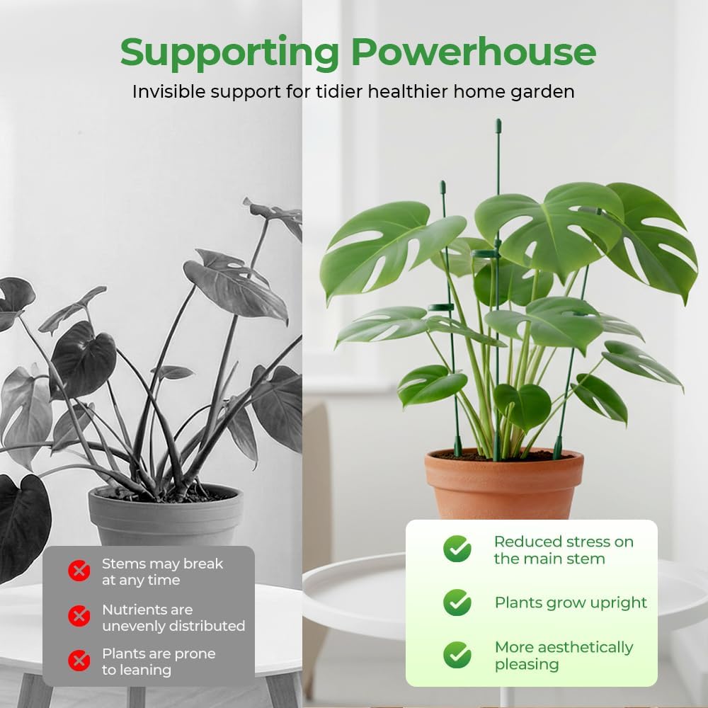 Skiennix Plant Stakes - Adjustable Clips for Indoor/Outdoor Plants | 10.62 Inches, Prevents Collapse