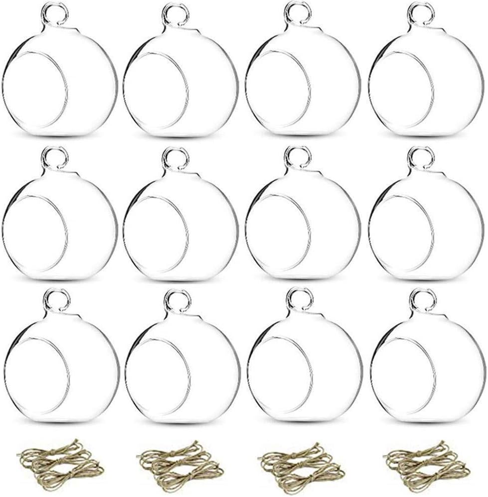 Skiennix 12 Pcs Glass Tealight Holders - 3.15" Hanging Globe Orbs for Air Plants & Candles | Indoor/Outdoor Decor