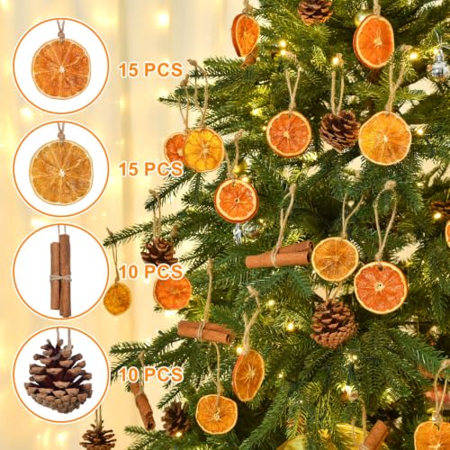 Christmas Dried Orange Slices Pine Cones Cinnamon Sticks Craft Set - 50 Pack
