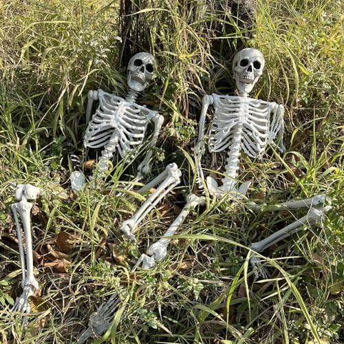 5.4Ft Halloween Skeleton with Movable Joints Life Size Human Bones Indoor Outdoor Decor