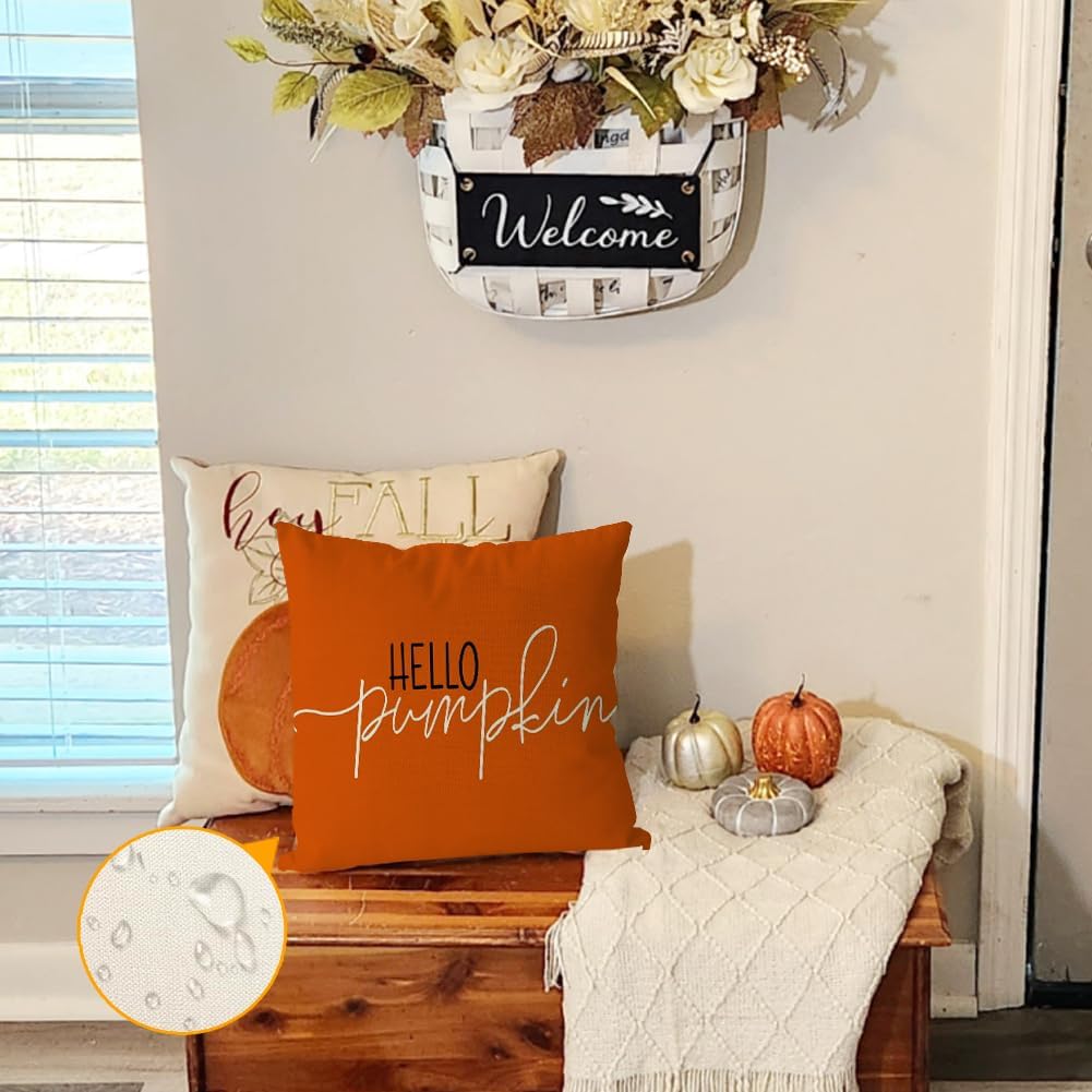 RABUSOFA Fall Pillow Covers - 18x18 Inch Waterproof Rust Hello Pumpkin Design | Autumn Harvest Decor