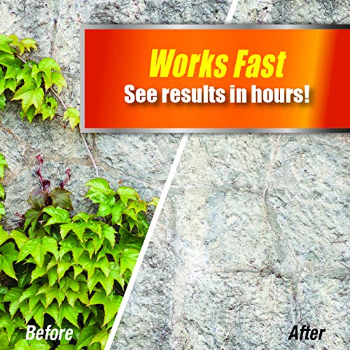 Regine Switzerland Weed and Grass Killer Spray - Fast-Acting, Non-Staining Herbicide - Kid & Pet Safe - 1 Gallon