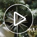 CG Hunter Magnolia Eucalyptus Pinecone Christmas Wreath 28" - Mixed Foliage Holiday Decor