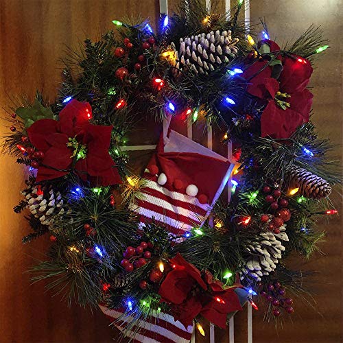 Hopolon 2 Pack Multicolor Easter String Lights, 50 LEDs, Green Wire, 13FT