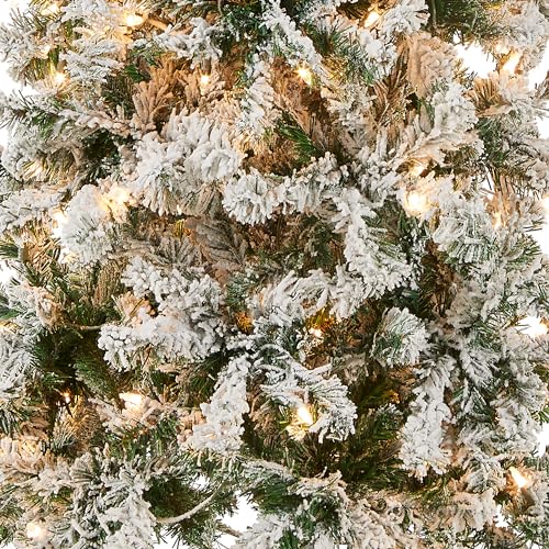 6ft Pre-Lit Flocked Acacia Artificial Christmas Tree - National Tree Company