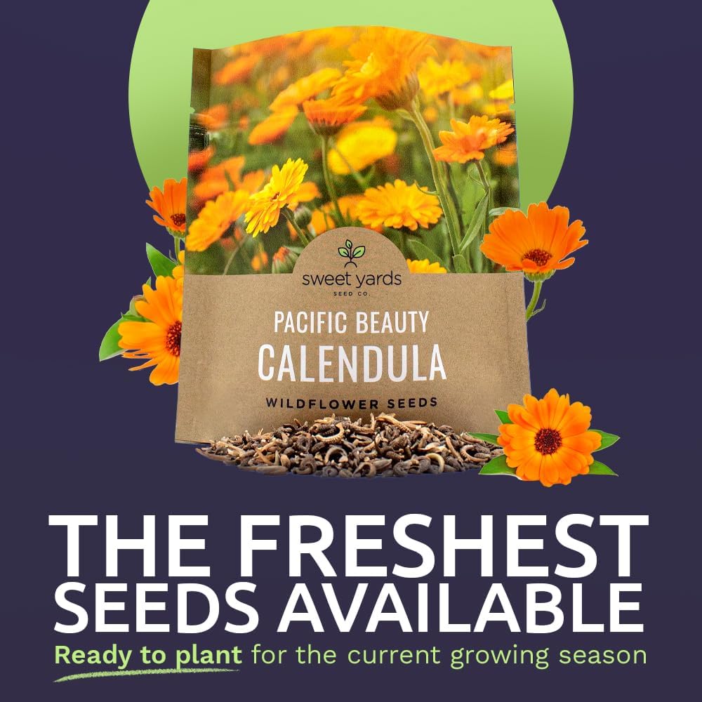 Pacific Beauty Mix Calendula Seeds - Extra Large Packet of 3,000+ Non-GMO Wildflower Seeds
