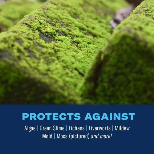 BioAdvanced 2-in-1 Moss and Algae Killer - Effective Lawn and Roof Cleaner, 32 oz