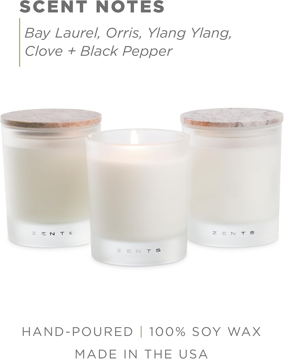 Zents Scented Soy Wax Candle (Earth - Sandalwood & Fir Needle), Large Jar Single Wick, Uplifting Home Decor Accent, 8.5 oz