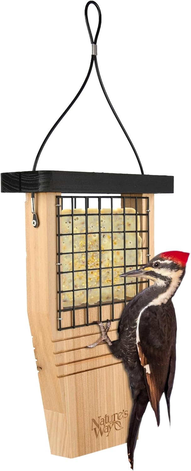Nature's Way Bird Products Suet Bird Feeder - Tail-Propping Design | 12"H x 7.875"L x 3"W, Brown