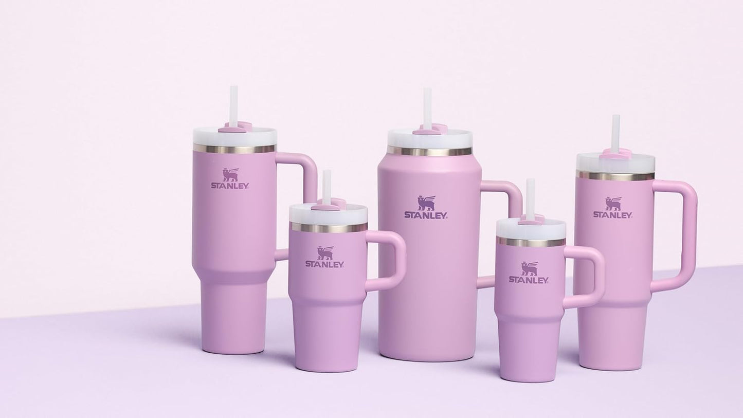 STANLEY Quencher H2.0 Tumbler - 20 oz Insulated Stainless Steel Cup with Handle & Straw | Lilac