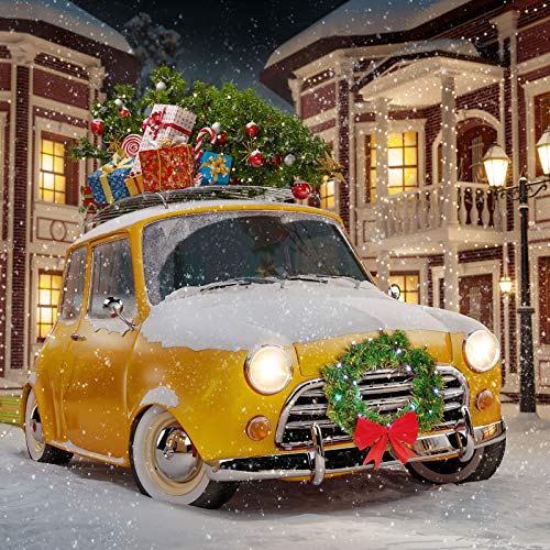 Honoson 11.8 Inch LED Christmas Wreath for Car with 5 Nylon Ties