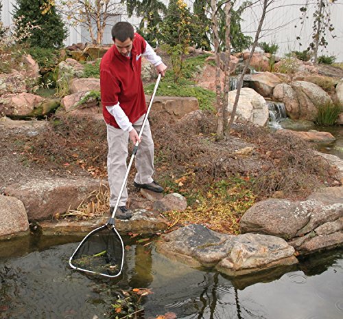 Heavy-Duty Pond Fish Net with Extendable Handle - Safe Koi & Fish Debris Skimming