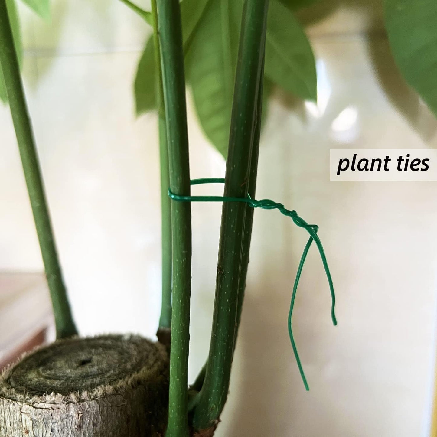 Plant Twist Ties - 8'' Reusable Garden Ties for Climbing Plants | Pack of 100, Green