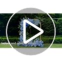 Ivory Faux Hydrangea Flowers Bulk - 100 Pcs Artificial Silk Flowers with Stems for Wedding & Home Decor