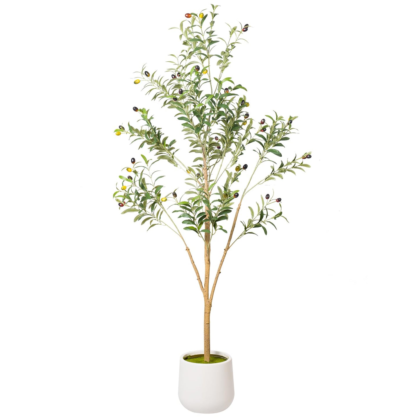 Artizone Artificial Olive Tree with White Pot - Faux Olive Tree for Home Decor, Tall Artificial Plants Indoor, Realistic Trunks Foliage Fruit, Office Decor (5FT)