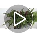 CLEANGOR Christmas Norfolk Pine Stems for Vase — Big Cones / 17, Realistic Holiday Greenery Decor