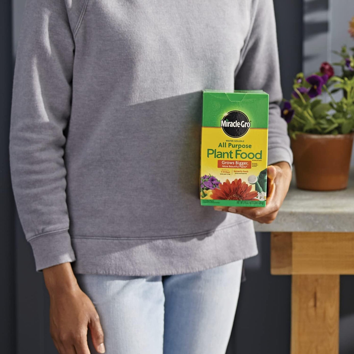 Miracle-Gro Water Soluble Plant Food - All-Purpose Fertilizer for Indoor & Outdoor Plants | 3 lbs (Pack of 6)