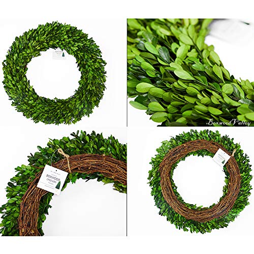 Boxwood Wreath X-Large 22 Inch Preserved Natural Green Home Decor Stay Fresh