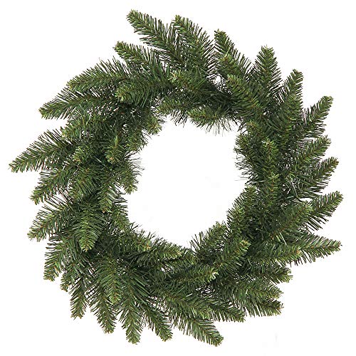 Vickerman Camdon Fir 16" Unlit Artificial Christmas Wreaths Pack of 2 - Green