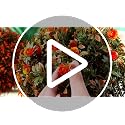 Lunmon 2 Pack 24-Inch Artificial Orange Topiary Trees for Outdoor Decor