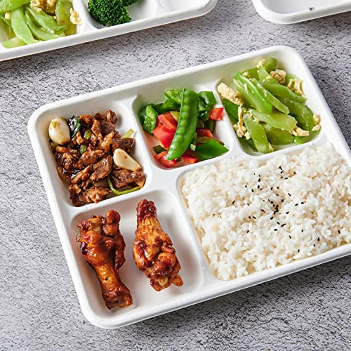 Vplus 500 Pack 5-Compartment Compostable Sugarcane Plates, 10.2x8.5 Inches — White, Eco-Friendly, Disposable Food Trays