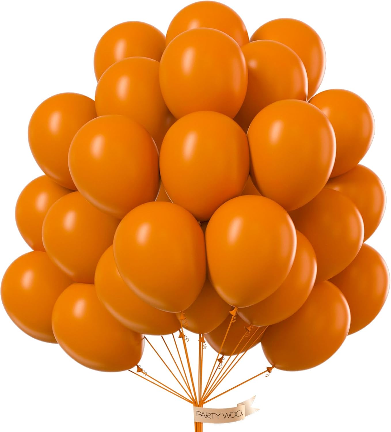 PartyWoo Burnt Orange Balloons - 100pcs 12 Inch Terracotta Rust Fall Decor | Boho Balloon Arch Kit for Weddings & Events