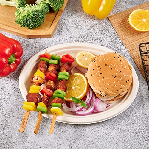 Vplus 12-Inch Compostable Oval Paper Plates - 120 Pack, Nature Variation