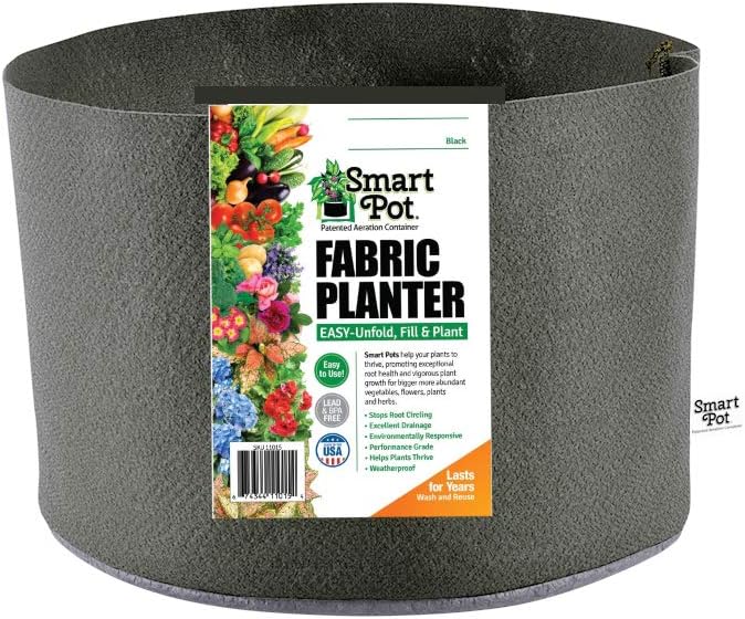 Smart Pots 1-Gallon Soft-Sided Container | Durable Black Gardening Pot for Healthy Plants