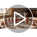 Nativity Scene Set 11 Mini Figurines Holy Family Christmas Display