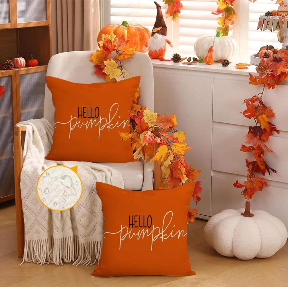 RABUSOFA Fall Pillow Covers - 18x18 Inch Waterproof Rust Hello Pumpkin Design | Autumn Harvest Decor