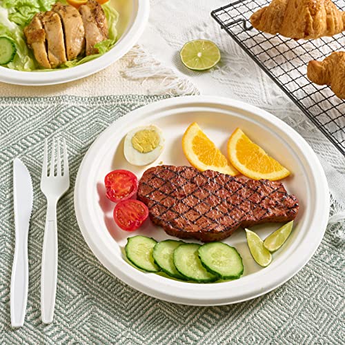 9-Inch Compostable Sugarcane Fiber Paper Plates - 500 Pack, White