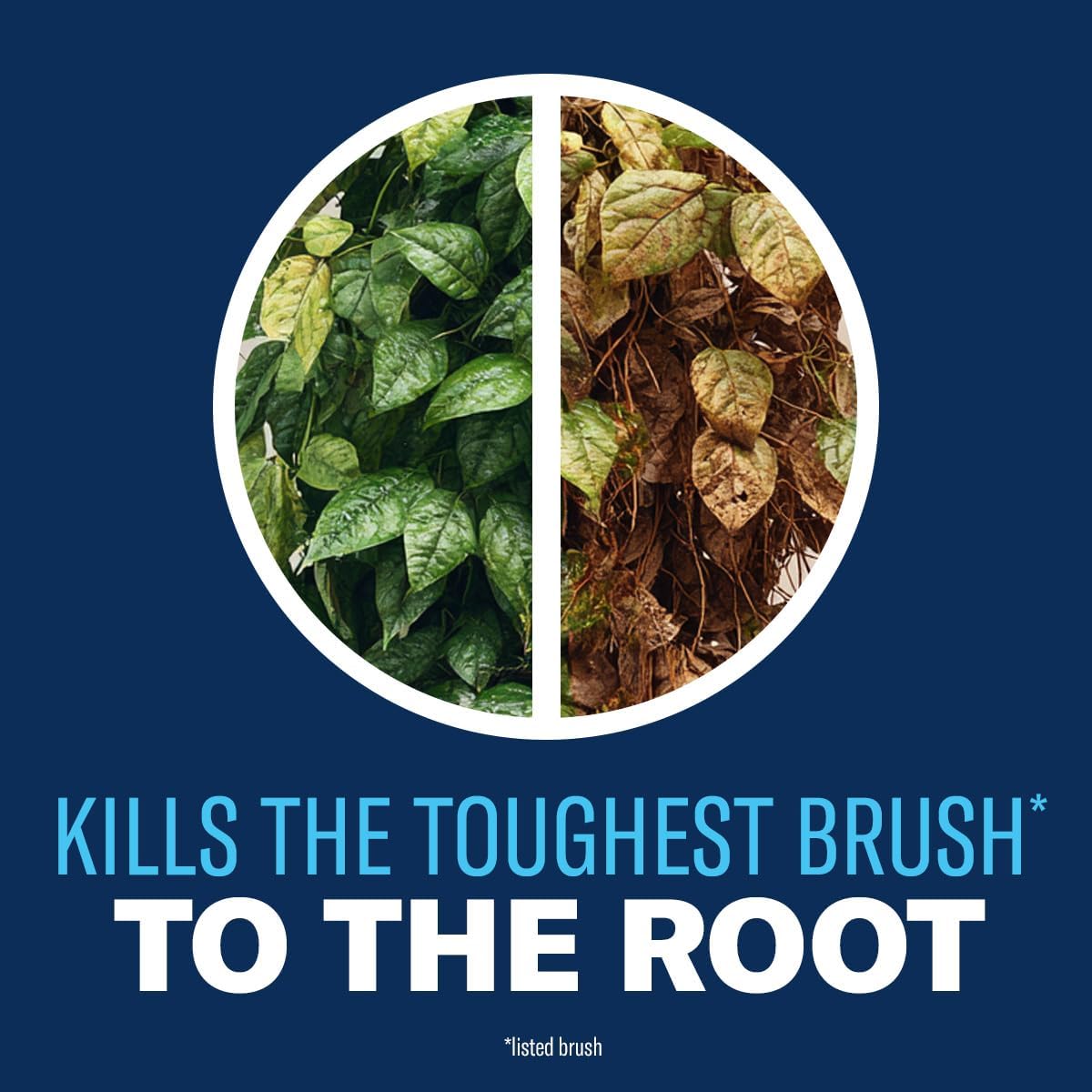 BioAdvanced Brush Killer Plus - Ready-to-Use Weed Killer Spray | 24 oz for Tough Brush & Poison Ivy Control