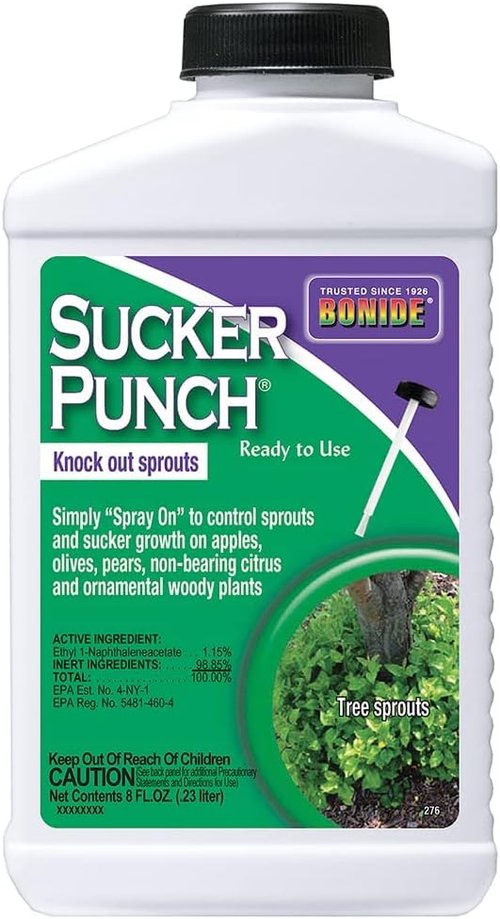 Bonide Sucker Punch - Stop Suckers Sprouting from Roots & Pruning Cuts | Ready to Use (8 oz.)