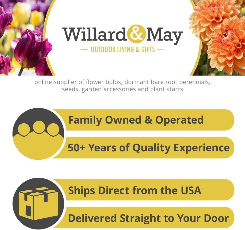 Willard & May Wildflower Seed Mix - 25,000+ Bulk Seeds | 18 Varieties, Pollinator Friendly, Easy Sow
