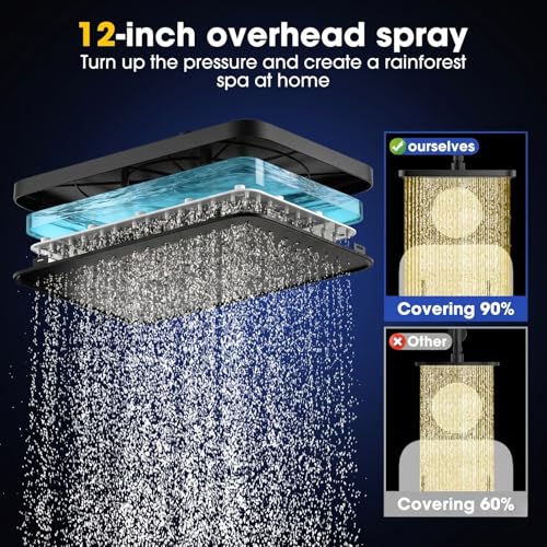 12" Filtered Shower Head with Handheld Rain Filters