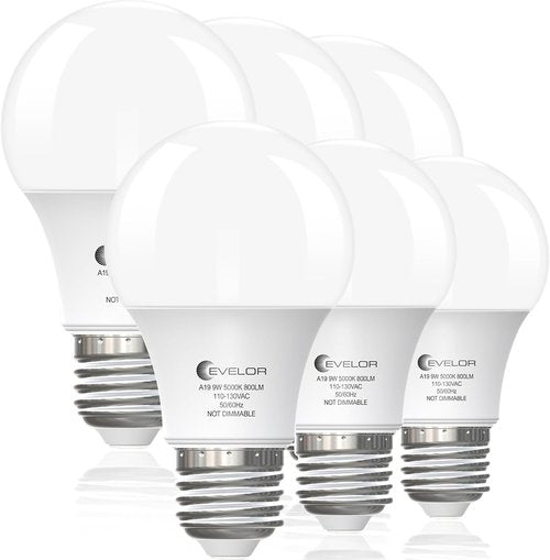 Evelor 6-Pack A19 LED Light Bulbs - 60W Equivalent Daylight 5000K | Efficient 9W, 800 Lumens, Non-Dimmable