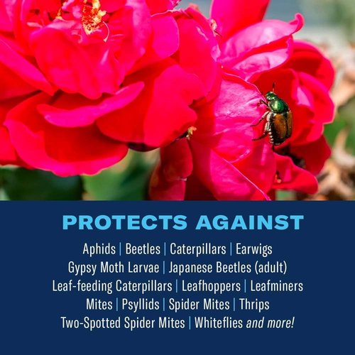 BioAdvanced Rose and Flower Spray - All-in-One Fungicide Concentrate, 32 Oz for Healthy Plants