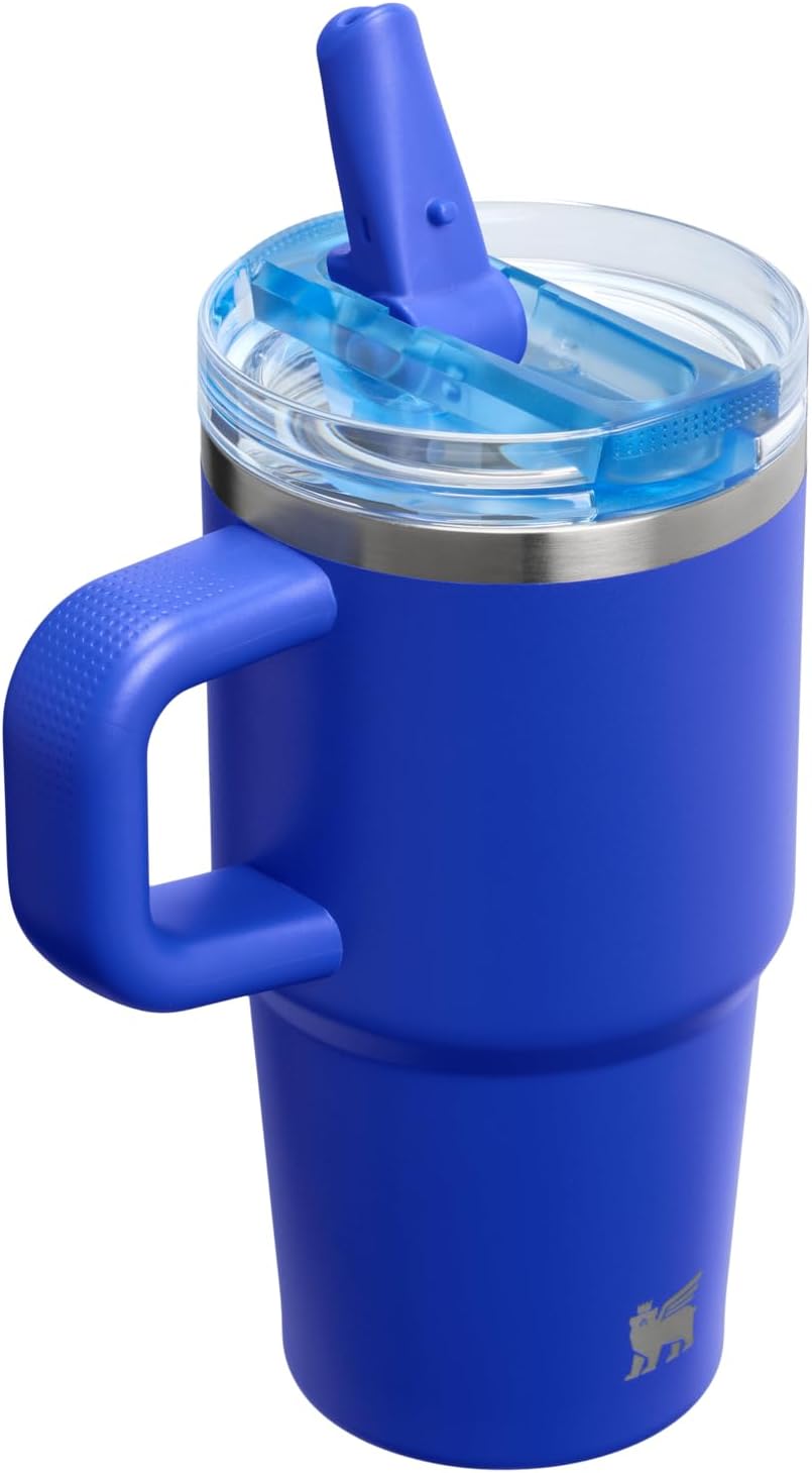STANLEY Quencher ProTour 20 oz Tumbler - Leakproof Lid, Built-In Straw & Handle | Insulated Stainless Steel | BPA-Free | Cobalt