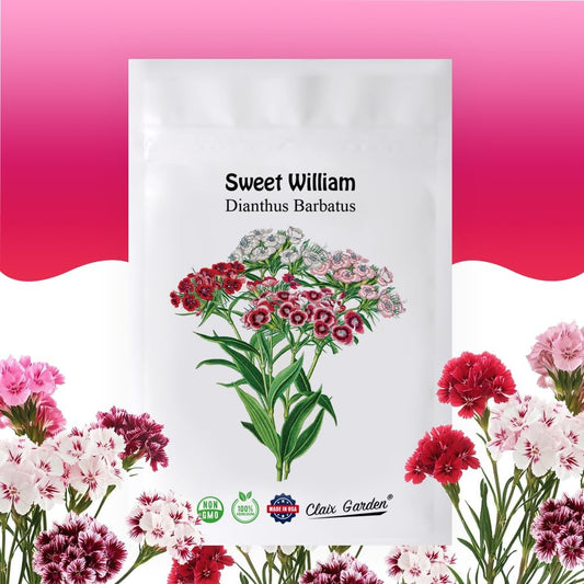 Sweet William Mix - Dianthus Barbatus Seeds | 10,000 Non-GMO Heirloom Seeds for Vibrant Pollinator Gardens